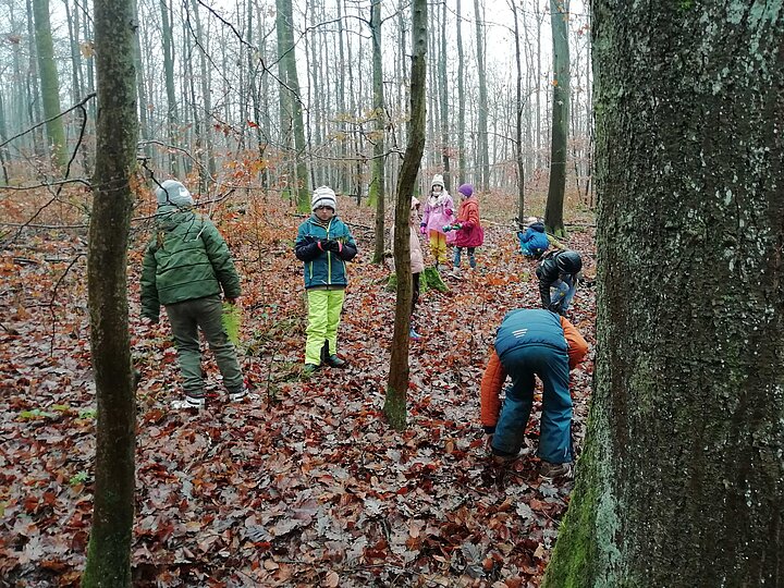 Schülerinnen und Schüler entdecken den Wald und seine Bewohner