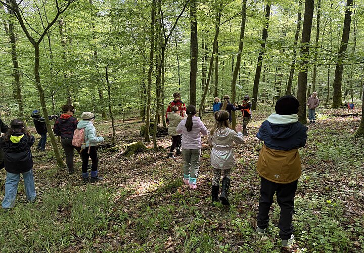 Schülerinnen und Schüler im Wald