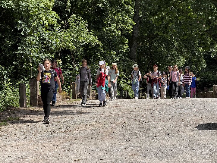 Schülerinnen und Schüler bei der Wanderung zur Burgruine