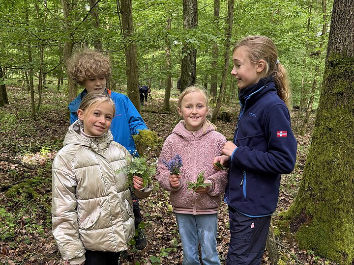 Schülerinnen und Schüler mit gesammelten Waldpflanzen