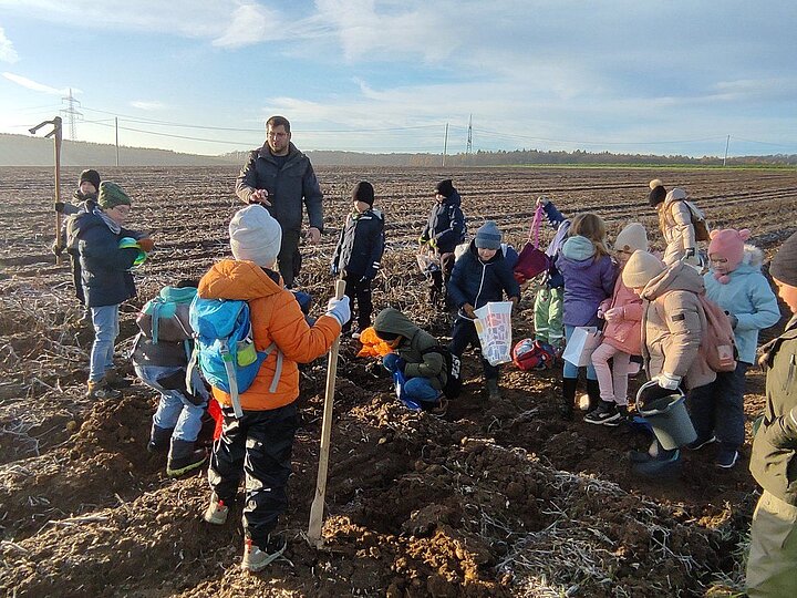 Schülerinnnen und Schüler erfahren vieles über die Kartoffel auf dem Kartoffelacker