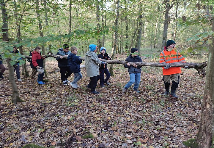 Schülerinnen und Schüler tragen gemeinsam einen abgestorbenden Baumstamm im Wald