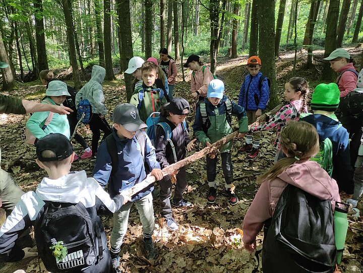 Schülerinnen und Schüler erkunden den Wald