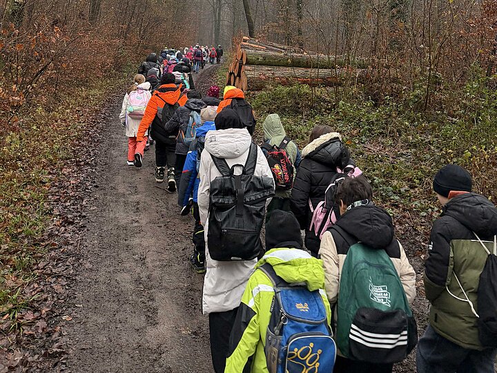 Schülerinnen und Schüler der vierten Klassen auf dem Weg in den Wald