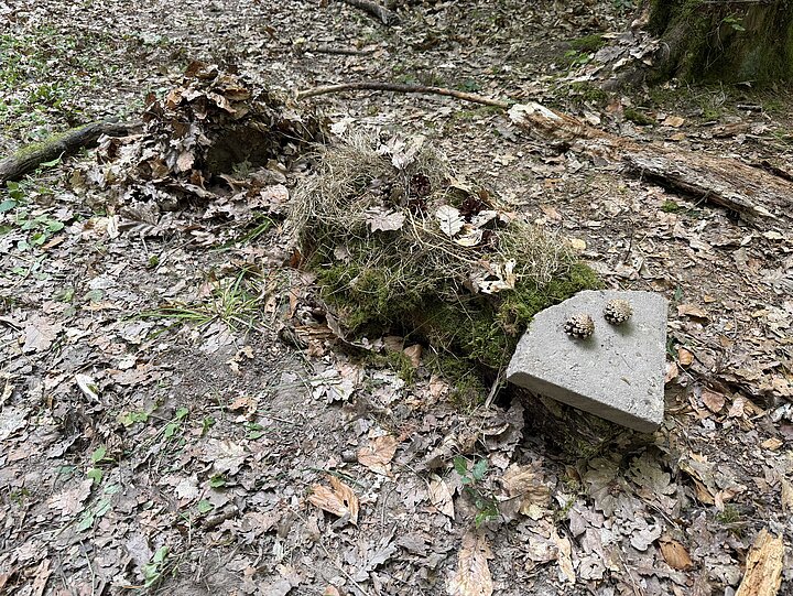 Ein Waldtier aus Waldmaterialien